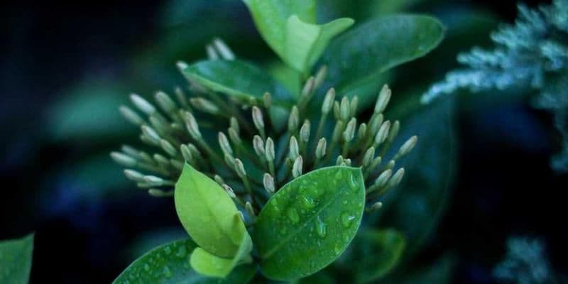 Technology Innovation in Substance Control